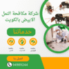 شركة مكافحة النمل الابيض بالكويت