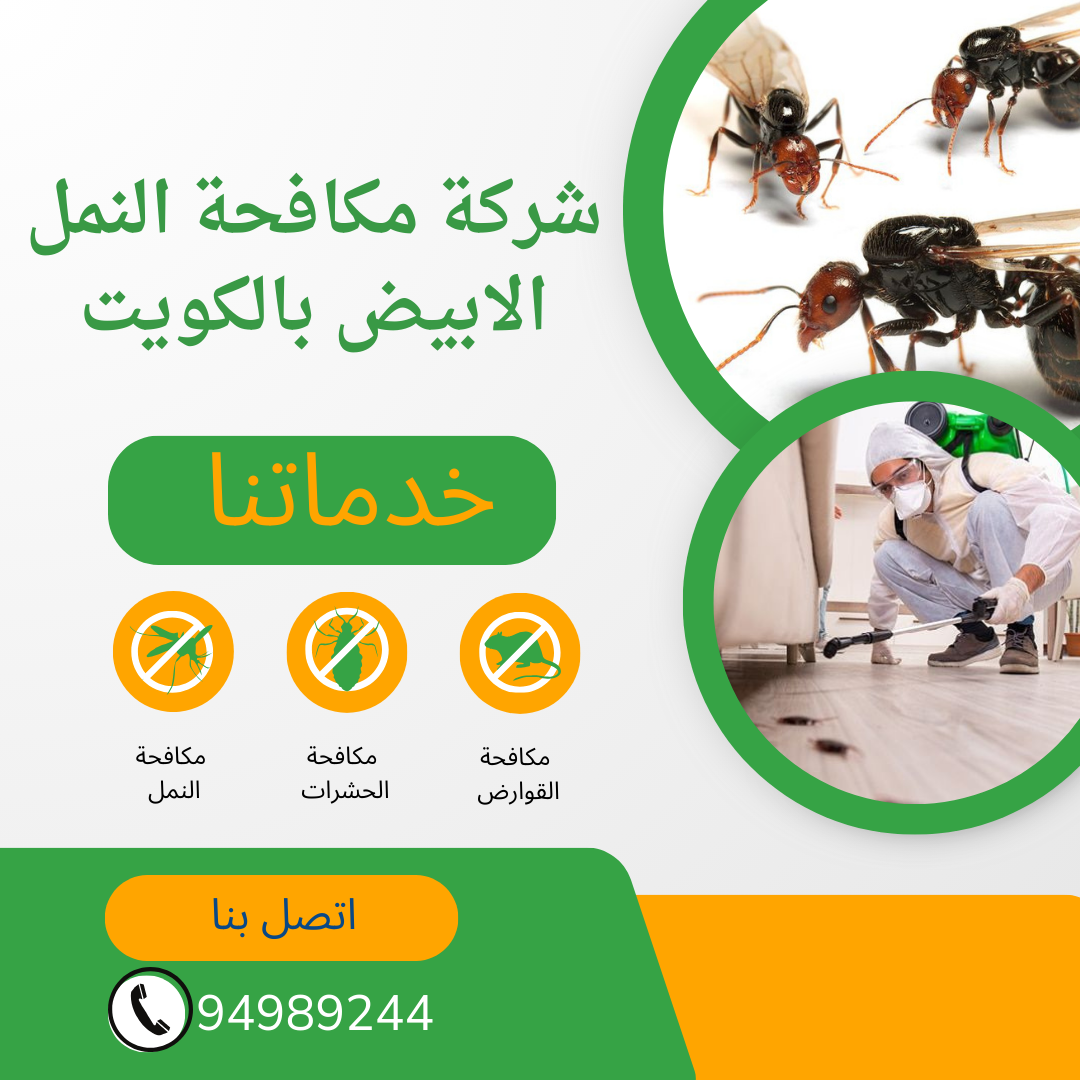 شركة مكافحة النمل الابيض بالكويت