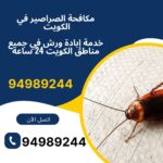 مكافحة الصراصير في الكويت