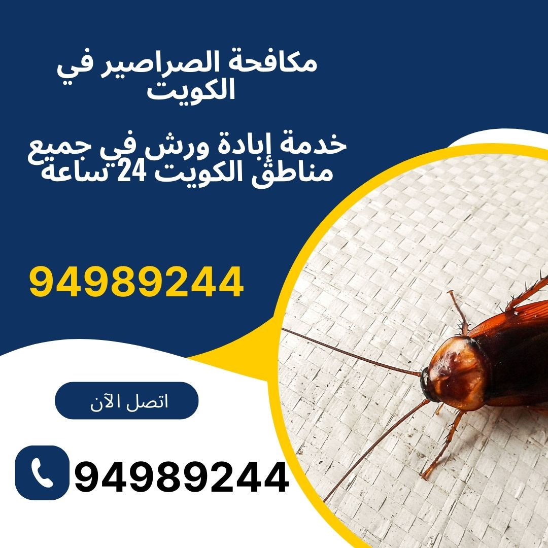 مكافحة الصراصير في الكويت