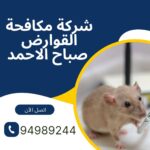شركة مكافحة القوارض صباح الاحمد لحماية منزلك من الحشرات 2025
