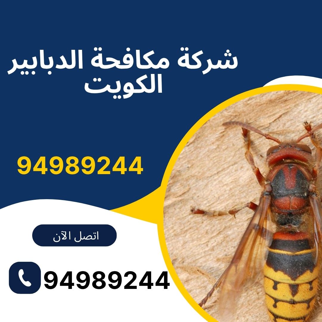 شركة مكافحة الدبابير الكويت
