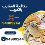 شركة مكافحة العقارب بالكويت