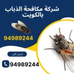 شركة مكافحة الذباب بالكويت