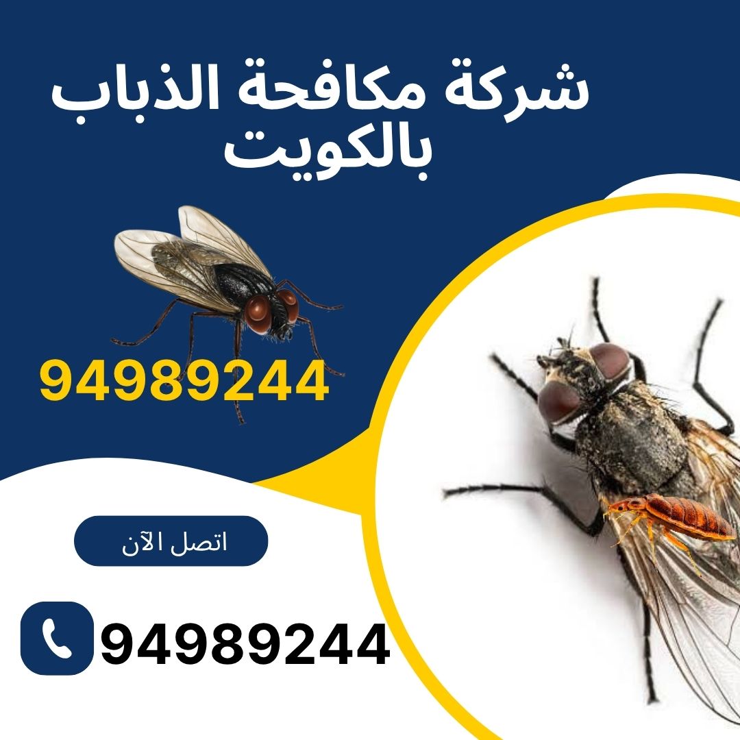 شركة مكافحة الذباب بالكويت
