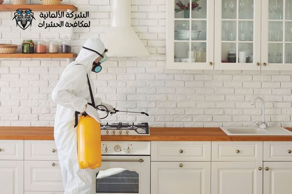 مكافحة حشرات 