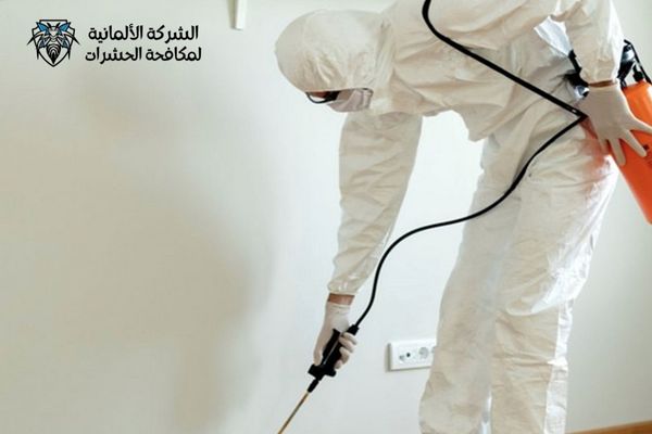 مكافحة حشرات 
